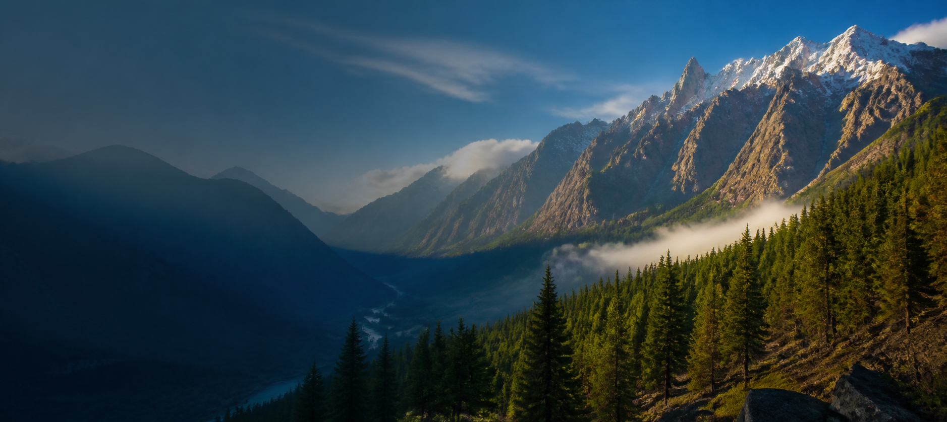 Mountain peaks and pine forest in northern Pakistan